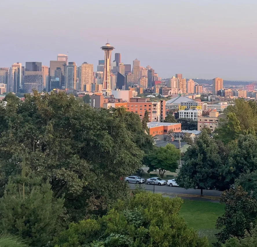 Cool season lawn and Puget Sound skyline context for Western Washington turf care